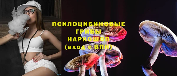 не бодяженный Алексин