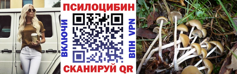 blacksprut ссылка  Катайск  Псилоцибиновые грибы Magic Shrooms  где продают  